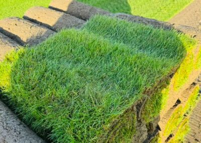 About us Turf Rolled out